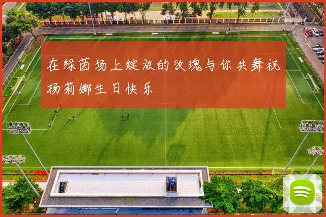 在绿茵场上绽放的玫瑰与你共舞祝杨莉娜生日快乐