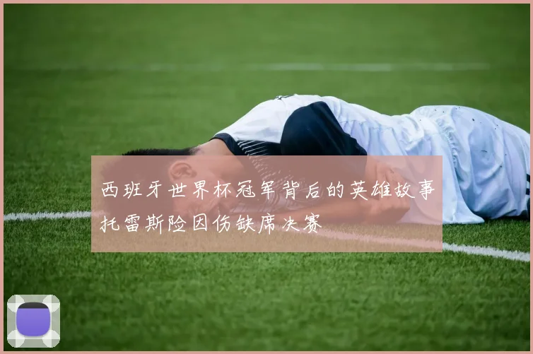 西班牙世界杯冠军背后的英雄故事托雷斯险因伤缺席决赛